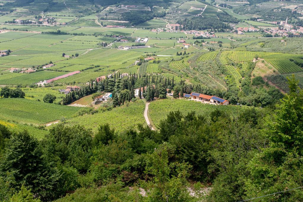 فيلا Massimago Wine Relais Mezzane di Sotto المظهر الخارجي الصورة